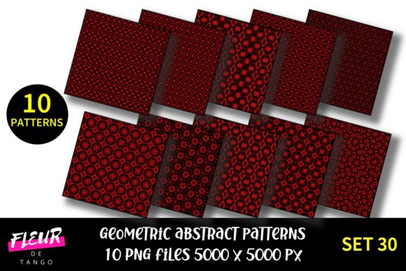 Unlock 30 Premium Geometric Design Assets